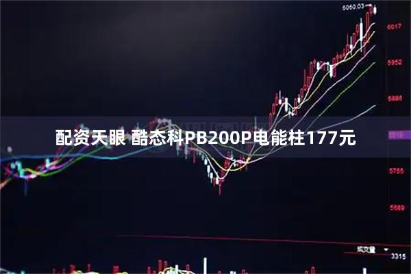 配资天眼 酷态科PB200P电能柱177元